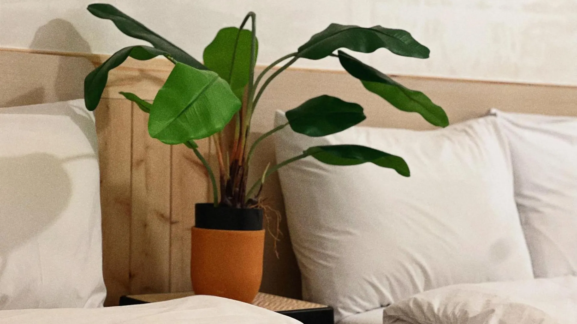 Jnineguesthouse Seul 0*,  Corea del Sud